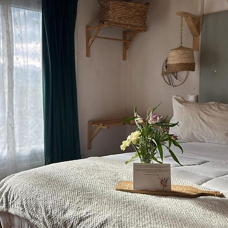 科伊艾科 Casa Balmaceda Backpackers旅舍 外观 照片